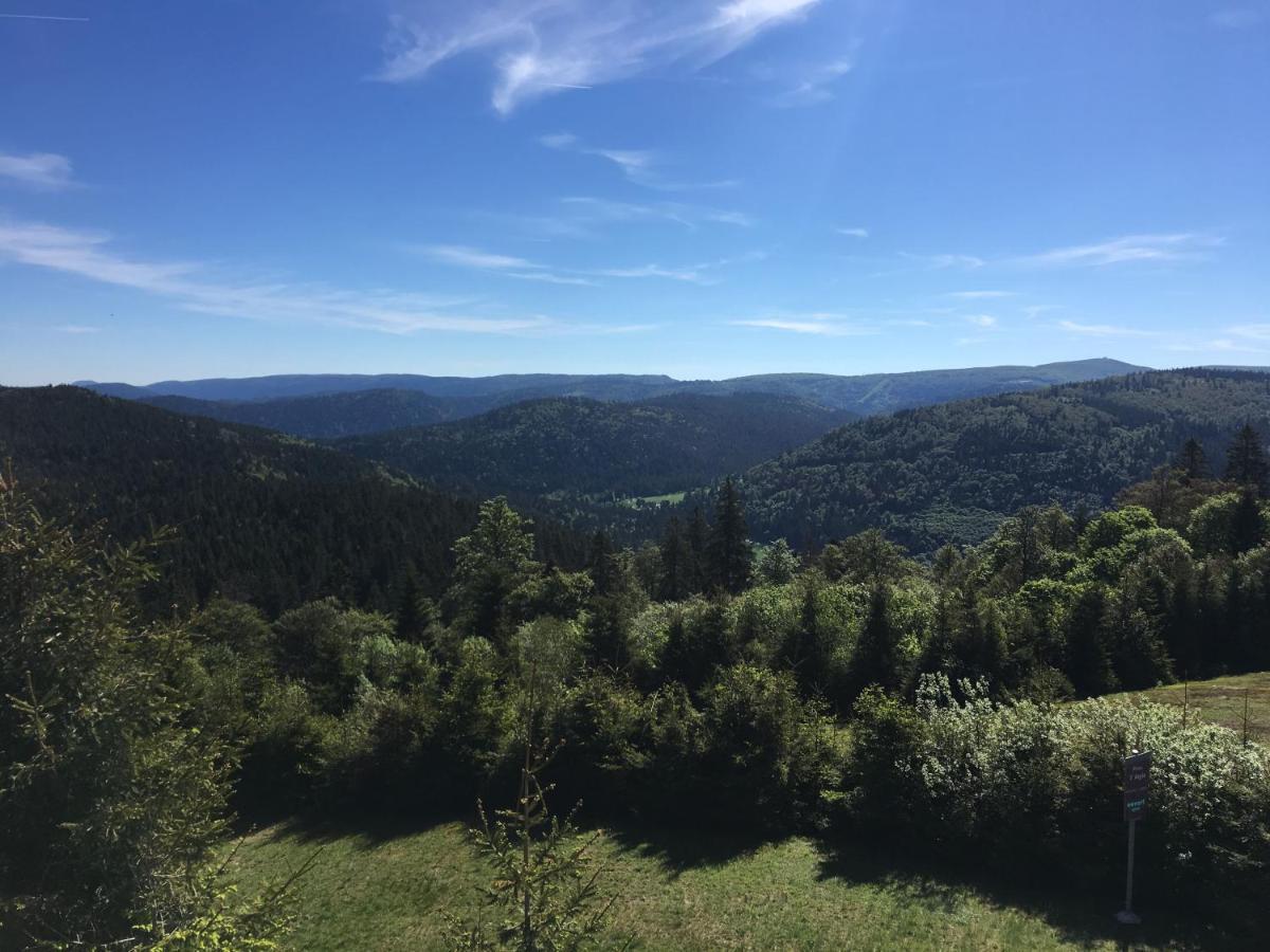 Le Belvosgien Apartment Gérardmer Екстериор снимка