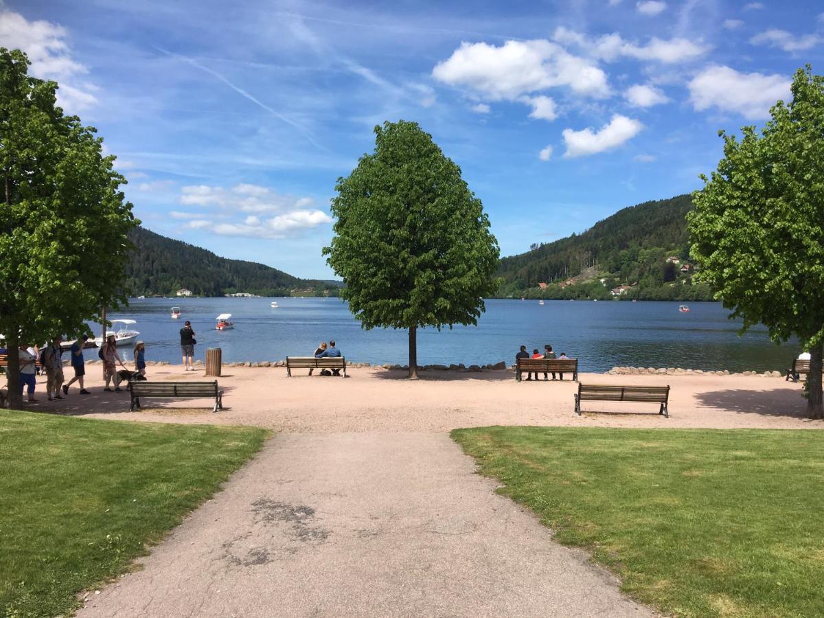 Le Belvosgien Apartment Gérardmer Екстериор снимка